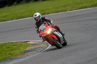 PJ-Motorsport-2019;anglesey-no-limits-trackday;anglesey-photographs;anglesey-trackday-photographs;enduro-digital-images;event-digital-images;eventdigitalimages;no-limits-trackdays;peter-wileman-photography;racing-digital-images;trac-mon;trackday-digital-images;trackday-photos;ty-croes